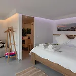 Romantic Modern Private Swimming Pool 5 Min Walk From Centre 巴古尔
